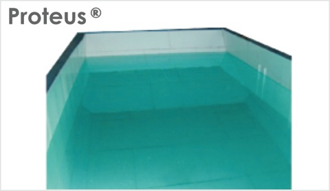 PROTEUS&reg;